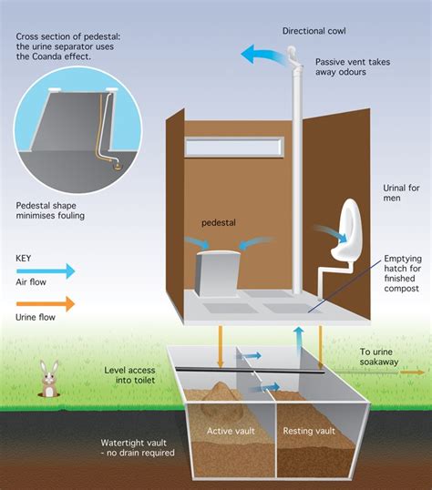 The Toilet Revolution: