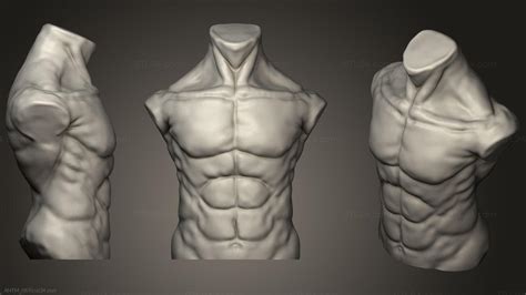 The Torso PDF