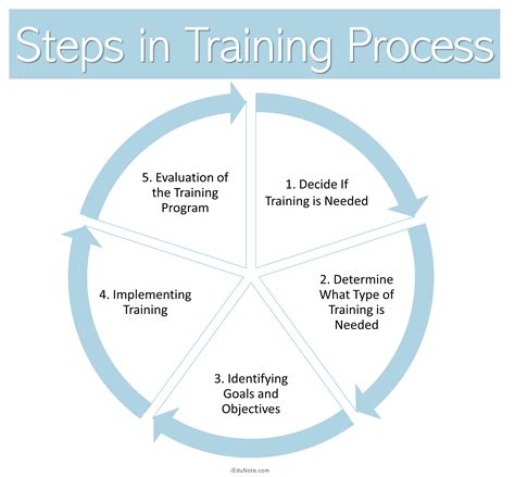 The Training Process