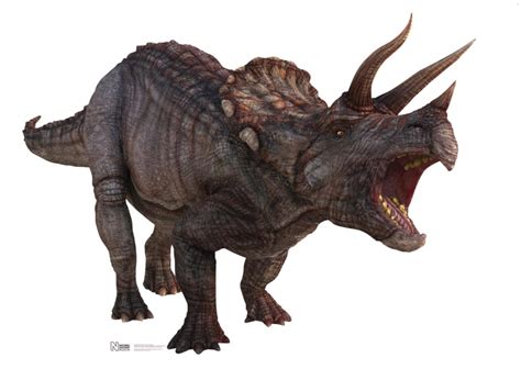 The Triceratops: A Powerful Ally