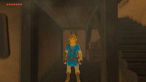 The Tunic of the Wild: A Comprehensive Guide to Zelda's Legendary Garment