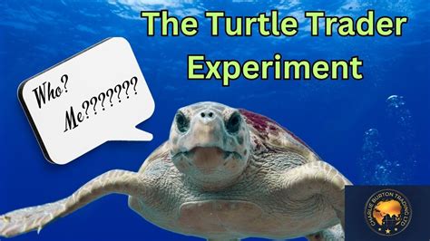 The Turtle Trader Experiment: A Revolutionary Approach