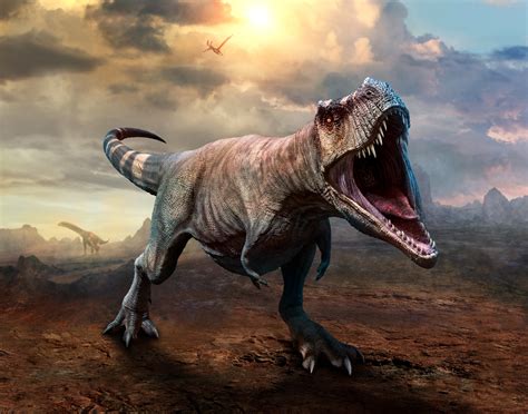 The Tyrannosaurus Rex: A Closer Look