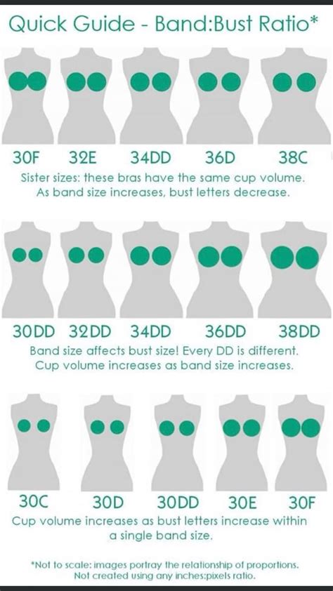 The Ultimate Breast Sizes Chart: A Comprehensive Guide