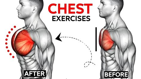 The Ultimate Chest Routine for Beginners: A Comprehensive Guide to Building a Ripped Chest