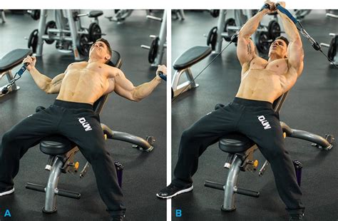 The Ultimate Chest Workout: Building a Tower of Thoracic Might