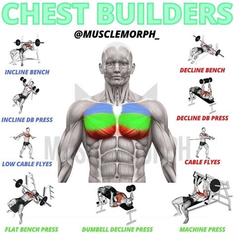 The Ultimate Chest Workout Routine That Will Build Your Pecs to the Max