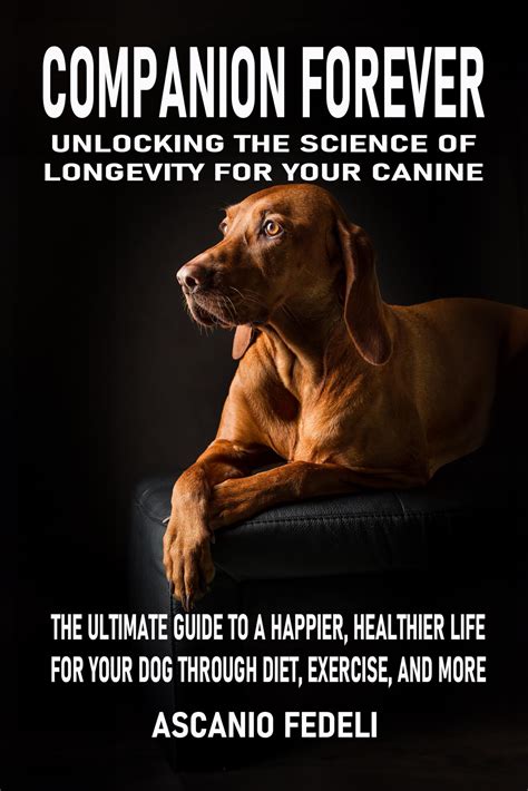 The Ultimate Dog Age Test: Unlocking the Secrets of Your Canine Companion's Longevity