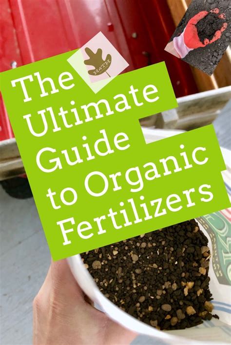 The Ultimate Guide To Organic Fertilizer: Grow 10x Healthier Vegetables