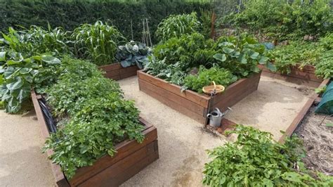 The Ultimate Guide To Raised Beds Epub