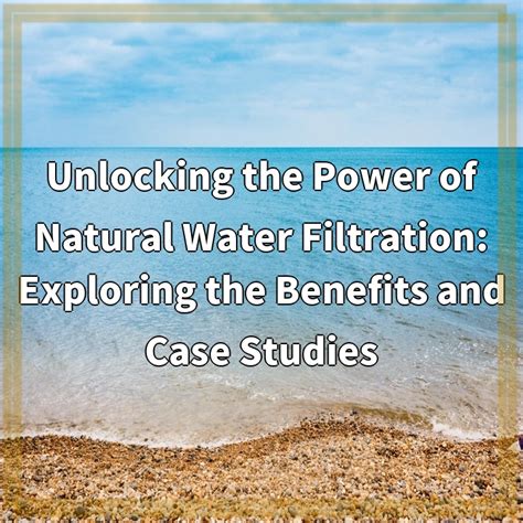 The Ultimate Guide to Aqua 6's: Unlocking the Power of Water Filtration