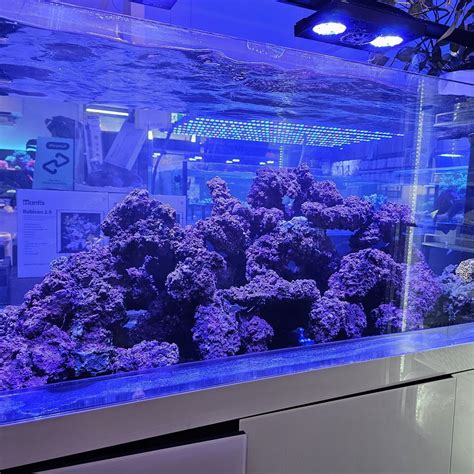 The Ultimate Guide to Aquarium Fish Tank Silicone: Ensuring a Safe and Thriving Environment