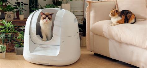 The Ultimate Guide to Automatic Cat Litter Boxes: A Revolution in Feline Sanitation