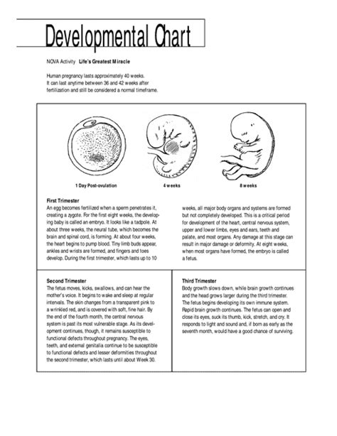 The Ultimate Guide to Babymontx: A Comprehensive Resource for Parents and Professionals