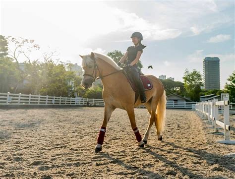 The Ultimate Guide to Bare Back Studios: Unleashing Your Inner Equestrian