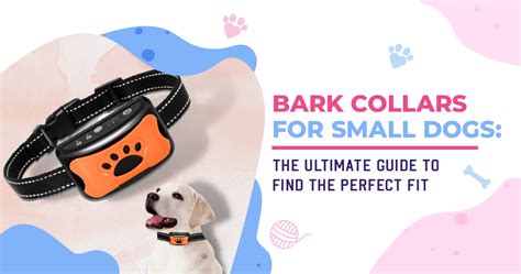 The Ultimate Guide to Bark Collars for Dogs: A Symphony for Tranquility