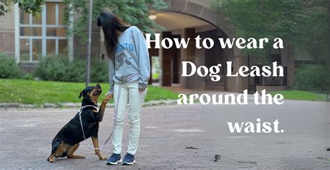 The Ultimate Guide to Body Leashes for Dogs: Benefits, Tips, and FAQs