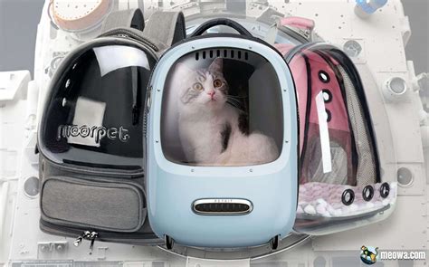 The Ultimate Guide to Bubble Cat Backpacks: A Purrfect Accessory for Cat Lovers