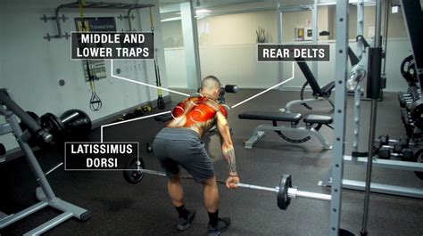 The Ultimate Guide to Building Muscle with Barbells and Benches