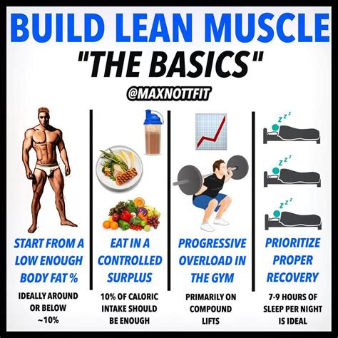 The Ultimate Guide to Building a Lean and Muscular Body