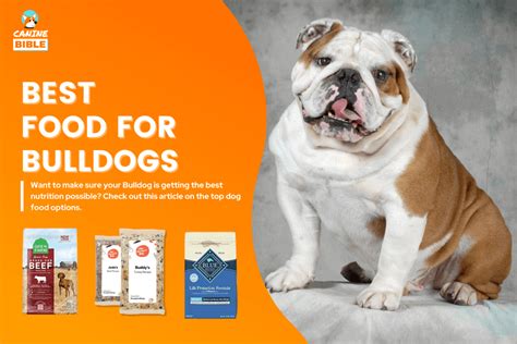 The Ultimate Guide to Bulldog Food: Nourishing Your Beloved Companion for Optimal Health