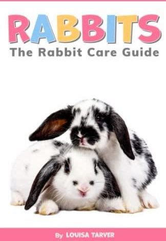 The Ultimate Guide to Bunny Walking: A Beginner's Handbook