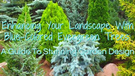 The Ultimate Guide to Bushes: Enhancing Your Landscape with Evergreen Beauties