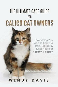 The Ultimate Guide to Buying a Cat: Everything You Need to Know