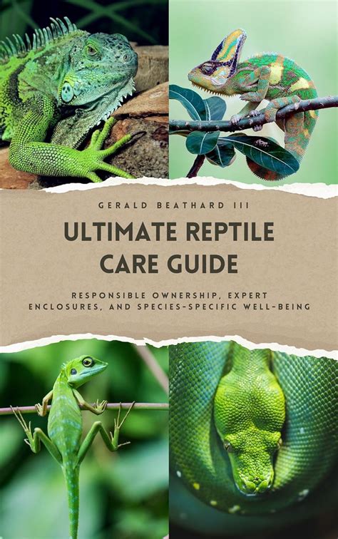 The Ultimate Guide to Caiman for Sale: Comprehensive Information and Responsible Ownership