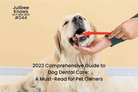 The Ultimate Guide to Canine Care: A Comprehensive Guide for Dog Owners