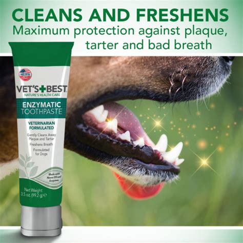 The Ultimate Guide to Canine Toothpaste: Maintaining Your Dog's Oral Hygiene