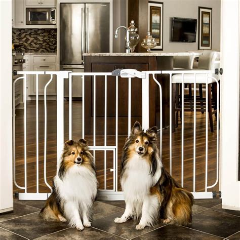 The Ultimate Guide to Carlson Pet Products Gates: Ensuring Safety for Your Beloved Companion