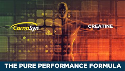 The Ultimate Guide to Carnosyn Beta-Alanine: Unlock Your Strength and Stamina