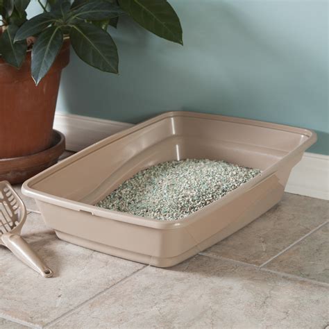 The Ultimate Guide to Cat Litter Box Size: Low vs. Super Large