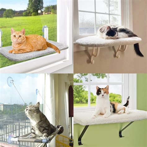 The Ultimate Guide to Cat Perches: Providing Your Feline Friend with a Safe and Stimulating Haven