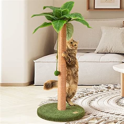 The Ultimate Guide to Cat Scratching Trees: A Feline's Paradise and Your Furniture's Savior