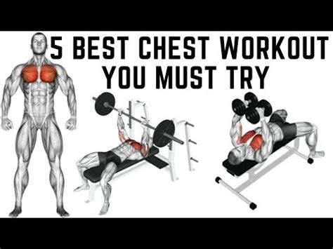 The Ultimate Guide to Chest Exercises: Build a Powerful and Defined Torso