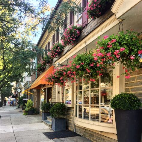 The Ultimate Guide to Chestnut Hill Stores: Discover Shopping Paradise in the Heart of New England