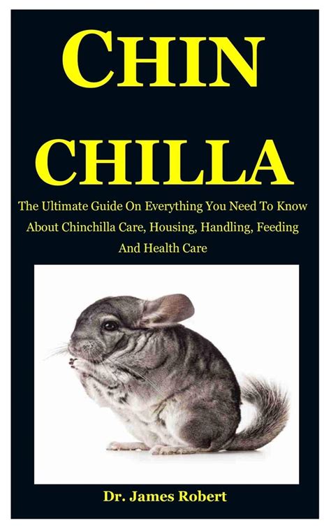 The Ultimate Guide to Chinchilla Babies: Everything You Need to Know