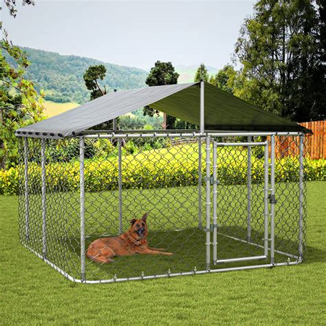 The Ultimate Guide to Choosing and Using an Outdoor Dog Kennel