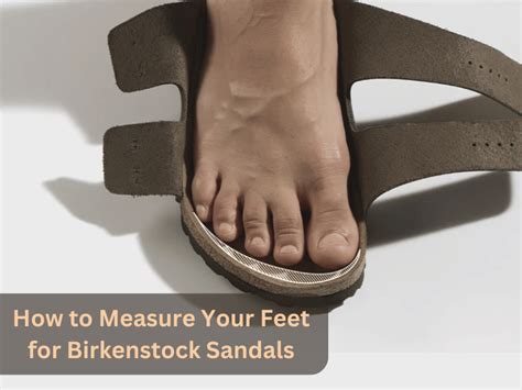 The Ultimate Guide to Choosing the Perfect Birkenstock Size 41