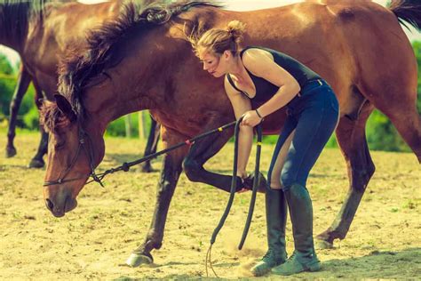 The Ultimate Guide to Choosing the Perfect Riding Shorts for Women