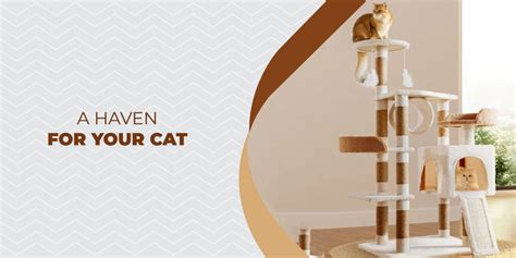 The Ultimate Guide to Creating Your Cat's Dream Home