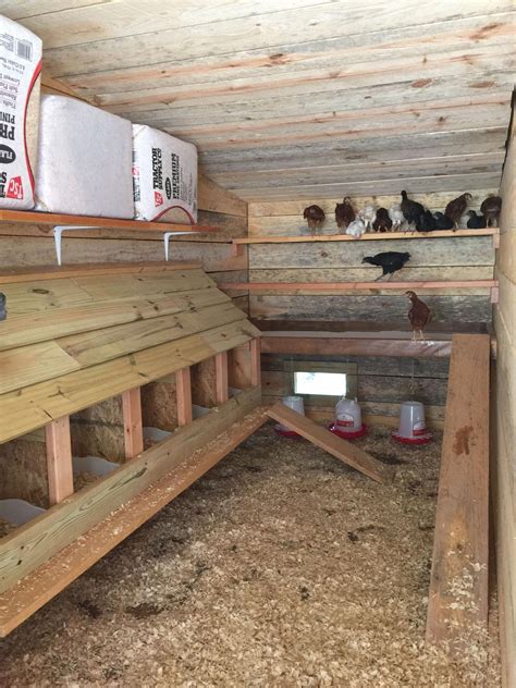 The Ultimate Guide to Creating a Coop Run for Your Happy Hens: