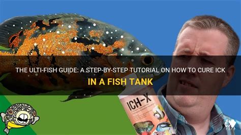 The Ultimate Guide to Curing Ick in Fish: A Comprehensive and Authoritative Approach