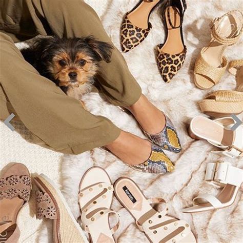 The Ultimate Guide to DSW: Shop for Shoes, Save Money, and Style Your Wardrobe