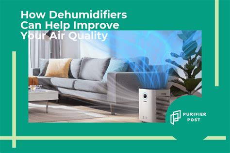 The Ultimate Guide to Dehumidifier and Air Purifier Combos: Improving Your Indoor Air Quality