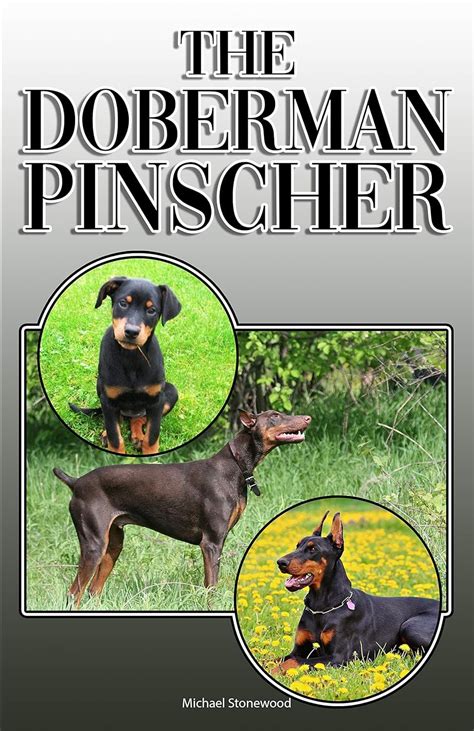 The Ultimate Guide to Doberman Cora: A Comprehensive Download