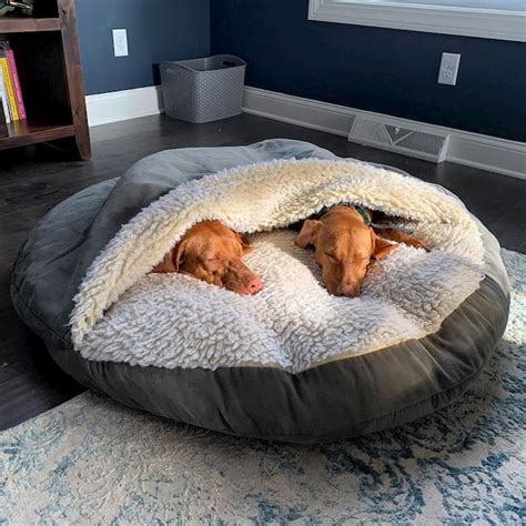 The Ultimate Guide to Dog Beds for Small Dogs: Comfort and Support for Your Furry Companion