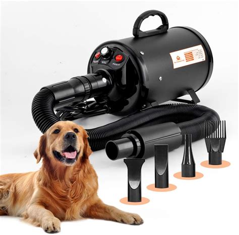 The Ultimate Guide to Dog Blower Dryers: A Comprehensive Resource for Pet Owners